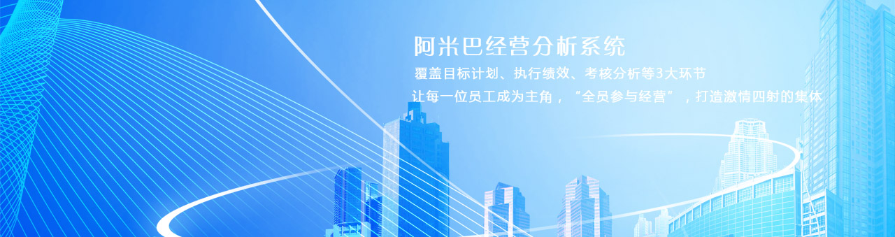 阿米巴经营分析系统